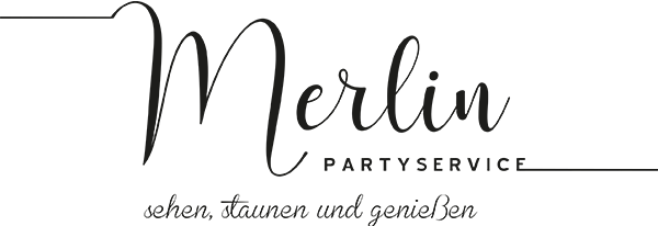 Schriftzug Merlin_Bluse_komplett